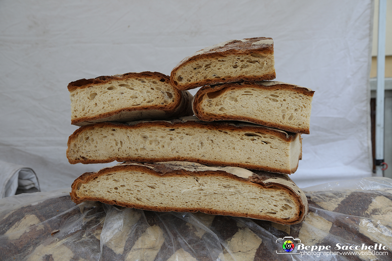 VBS_6166 - Fiera dei Santi - 12.ma Fiera Nazionale del Tartufo.jpg